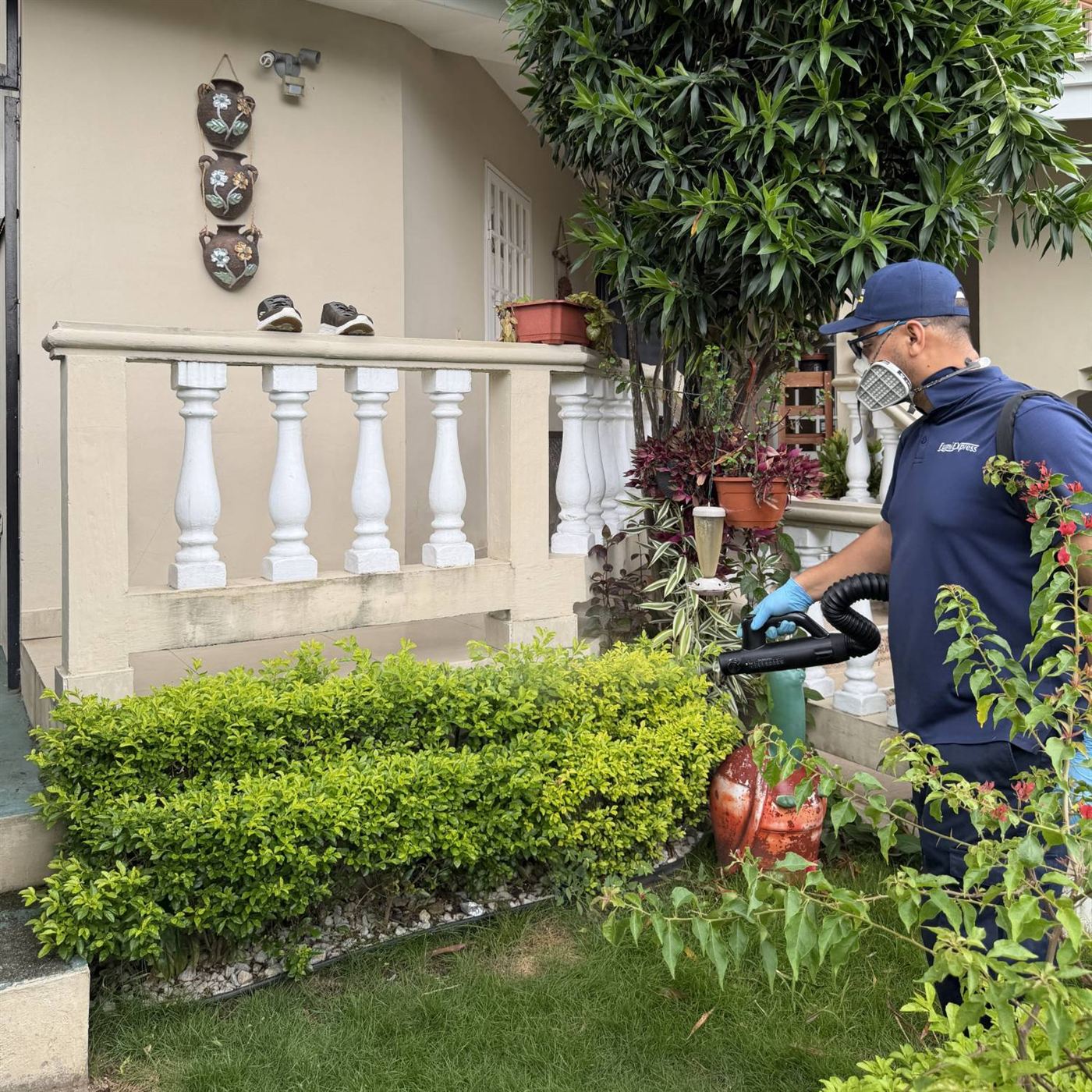 Técnico de Fumi Express aplicando tratamiento en el jardín de una vivienda